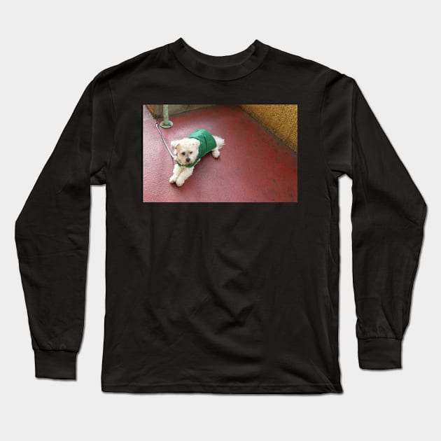 do ya think she's coming back...? Long Sleeve T-Shirt by rozmcq